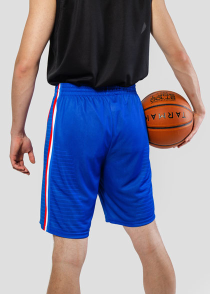 Баскетбольные шорты мужские BSK-AS01-SUBL