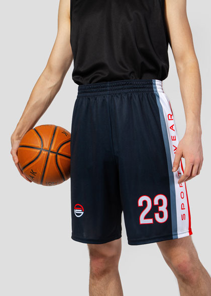 Баскетбольные шорты мужские BSK-AS06-SUBL